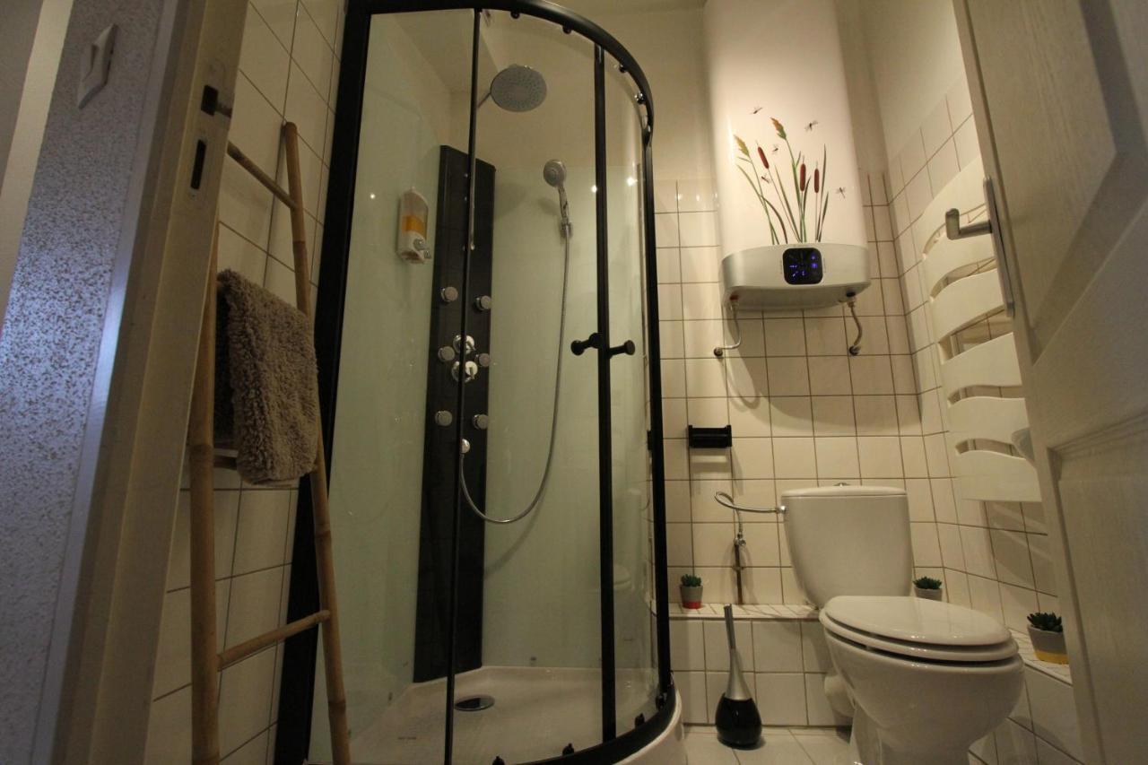 "Appartement Au Centre & Parking" Logement Petite Venise Colmar Luaran gambar