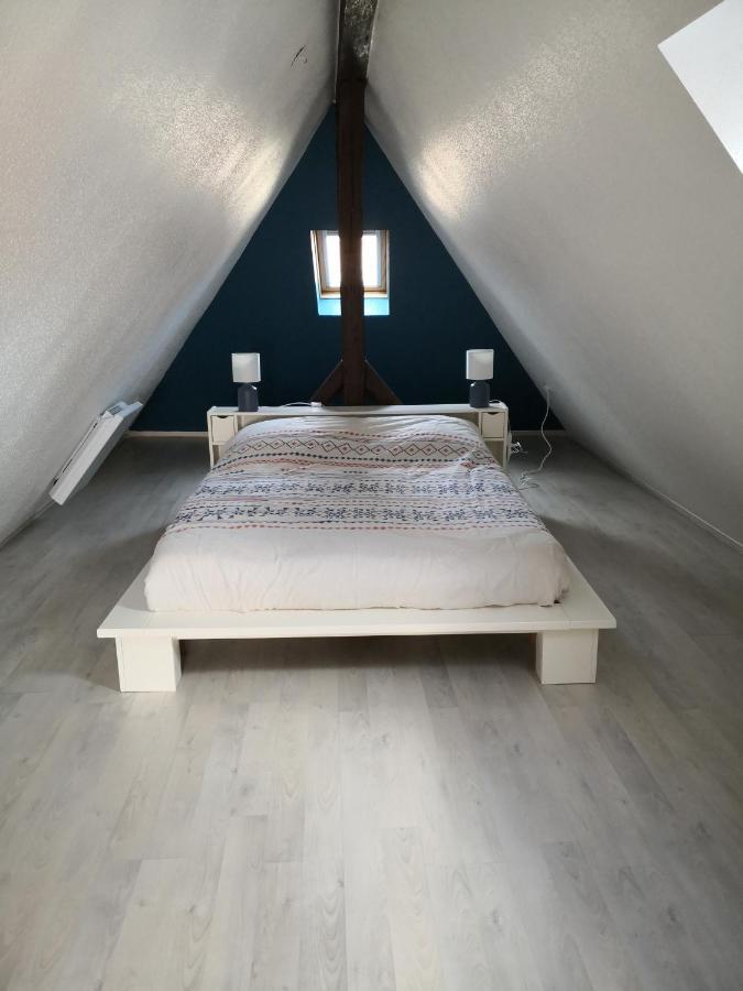 "Appartement Au Centre & Parking" Logement Petite Venise Colmar Luaran gambar
